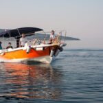 Wild Bays of Krk Island: A private half day boat tour - Why This Tour Offers Great Value