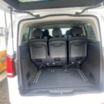 Wild Bears On Transfagarasan - Small Group max 8 pax - The Value of This Experience