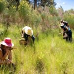 Wild experience: discover, cook & eat the local wild flora - Who Will Love This Experience?