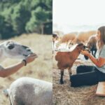 Wild Forest Reserve Foundation - Visit - Why It’s a Worthwhile Choice