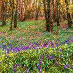 Wild west: Tour Cornwall`s rugged west coast. - The Practical Side: What’s Included & What’s Not