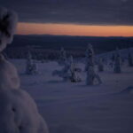 Wilderness Adventure by Snowmobile Sleigh - The Sum Up