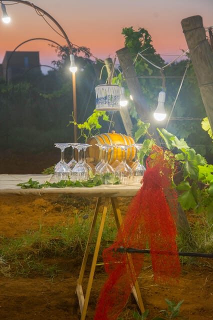 Wine and food at sunset - Why We Think This Tour Works