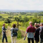 Wine & Cheese in the Somerset Valleys - with Michelin lunch - Who Will Love This Tour?