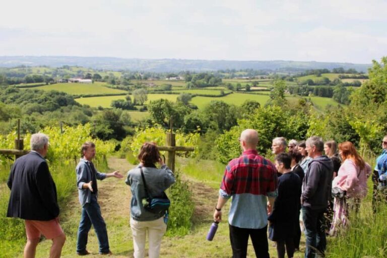 Wine & Cheese in the Somerset Valleys - with Michelin lunch - Who Will Love This Tour?
