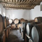 Wine Experience in an Organic Chianti Winery - Who Is This Experience Best For?