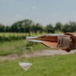 WINE EXPERIENCE - Le Vie Angarano winery - Practical Details and What to Expect