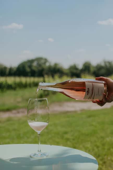 WINE EXPERIENCE - Le Vie Angarano winery - Practical Details and What to Expect