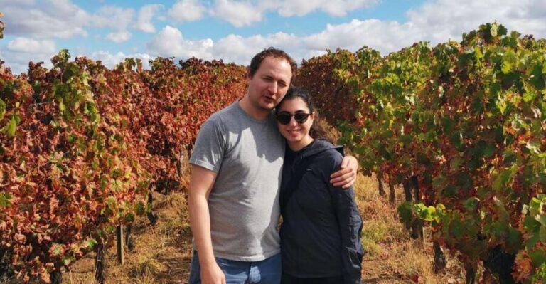 Wine , Roman Temple and Bone Chapel in half-day private tour - Practical Details and Value