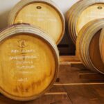 Wine Tasting and Food Pairings in Langhe and near Alba - Who Will Love This Tour?