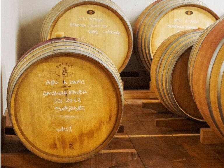 Wine Tasting and Food Pairings in Langhe and near Alba - Who Will Love This Tour?
