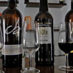Wine Tasting and local tapas delight in Cordoba - The Itinerary: Step-by-Step Breakdown