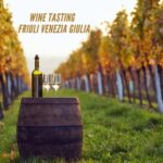 Wine tasting and winery tour in Friuli Venezia Giulia - Final Thoughts: Is It Worth It?