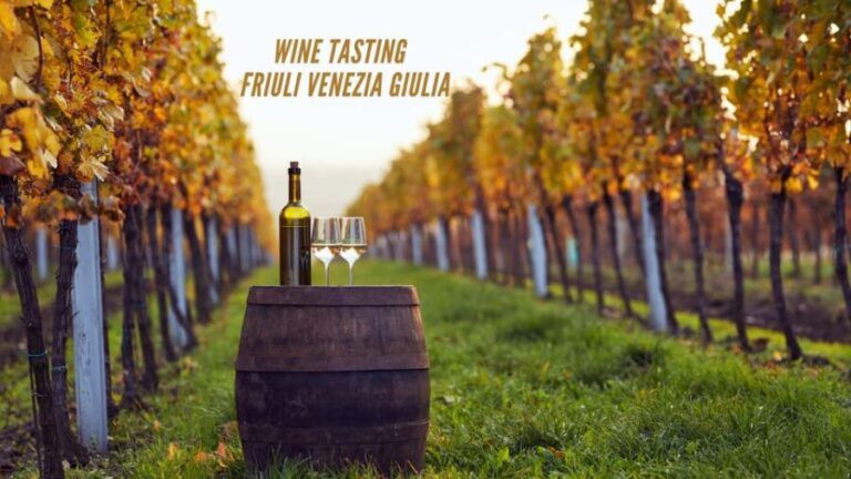 Wine tasting and winery tour in Friuli Venezia Giulia - Final Thoughts: Is It Worth It?