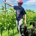 Wine Tasting and Winery Visit near Asti and Turin - Practical details and tips