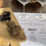 Wine tasting between Monferrato and Langhe - Practical Details and Tips