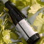 Wine Tasting Experience at Alpeta Winery - An In-Depth Look at the Alpeta Winery Experience