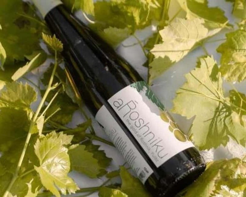 Wine Tasting Experience at Alpeta Winery - An In-Depth Look at the Alpeta Winery Experience