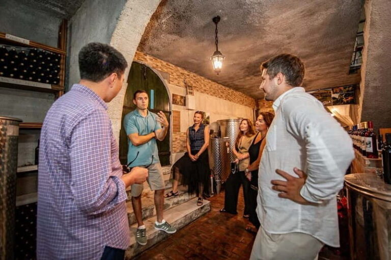 Wine Tasting in Herceg Novi - Who Will Love This Experience?