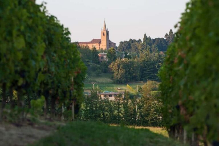 Wine Tasting in the Heart of Monferrato - Discovering Grignolino - Touring the Modern Winery