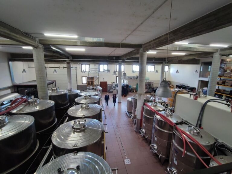 Wine Tasting in the South Slope of Etna - Who Should Book This Tour?