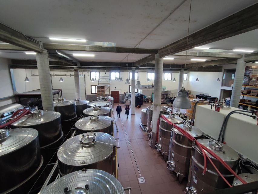 Wine Tasting in the South Slope of Etna - Who Should Book This Tour?