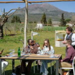 Wine Tasting on Mt. Vesuvius - Authenticity and Special Touches