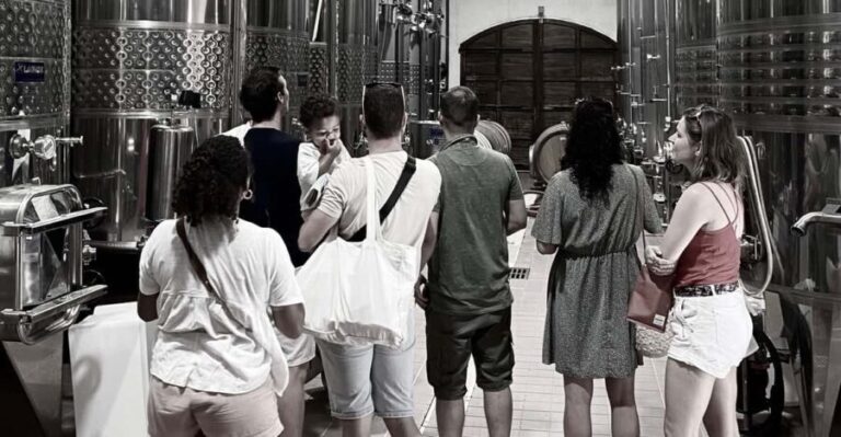 Wine Tasting Saint-Florent & Patrimonio - What Makes This Tour Stand Out?