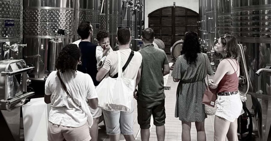 Wine Tasting Saint-Florent & Patrimonio - What Makes This Tour Stand Out?