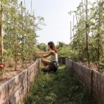 Wine Tasting: the flavors of the Prosecco Hills - Final Thoughts: Who Is This Tour Best For?