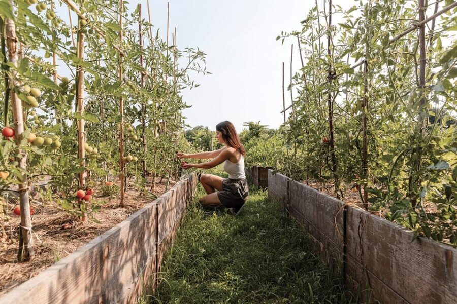 Wine Tasting: the flavors of the Prosecco Hills - Final Thoughts: Who Is This Tour Best For?