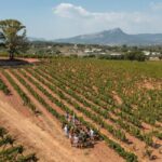 Wine tasting tour - Le Pradet - Frequently Asked Questions (FAQs)