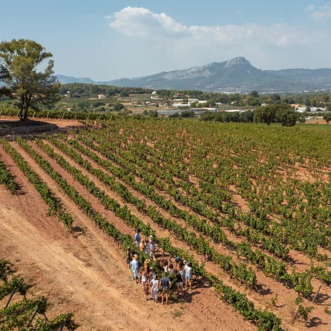 Wine tasting tour - Le Pradet - Frequently Asked Questions (FAQs)