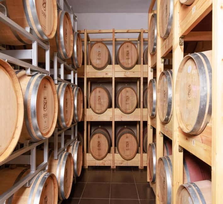 Wine tasting tour, Optional wine yard tour and kayak rides - What’s Missing?