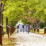 Wine tasting tour with olive oil and salami - Who Would Enjoy This Tour?