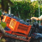 Wine Tasting & Vineyards Escape near Tirana - Analyzing the Value