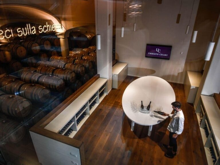 Wine Tasting with Food Pairing near Bologna - Who Will Love This Experience?