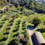 Wine Tasting with Local Food near Montepulciano - Who Should Consider This Tour?