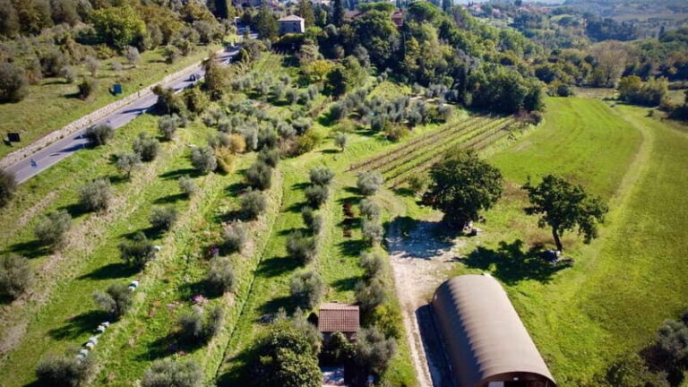 Wine Tasting with Local Food near Montepulciano - Who Should Consider This Tour?
