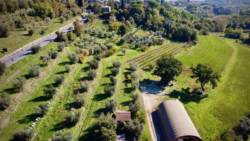 Wine Tasting with Local Food near Montepulciano - Who Should Consider This Tour?