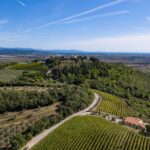 Wine Tasting with Local Food Pairing near Livorno - The Itinerary Breakdown