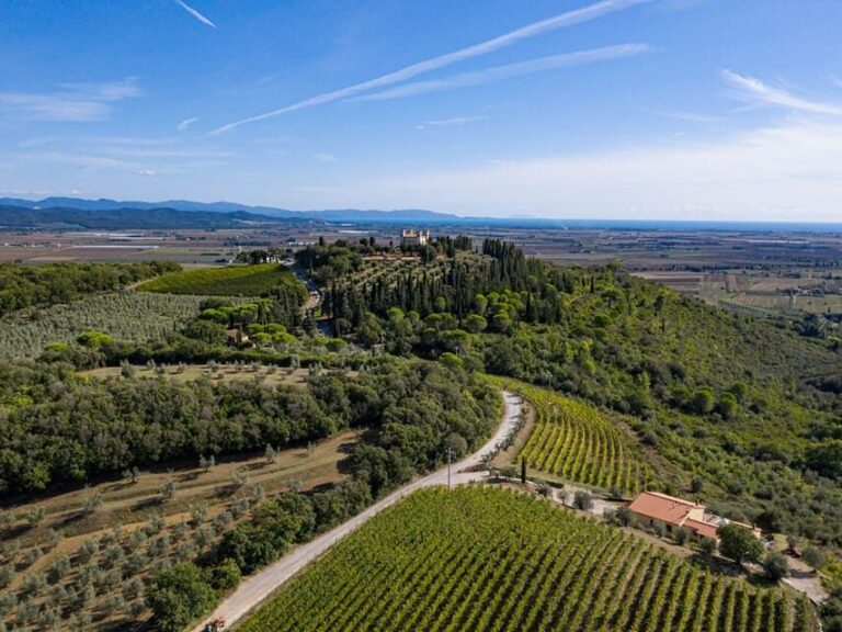 Wine Tasting with Local Food Pairing near Livorno - The Itinerary Breakdown