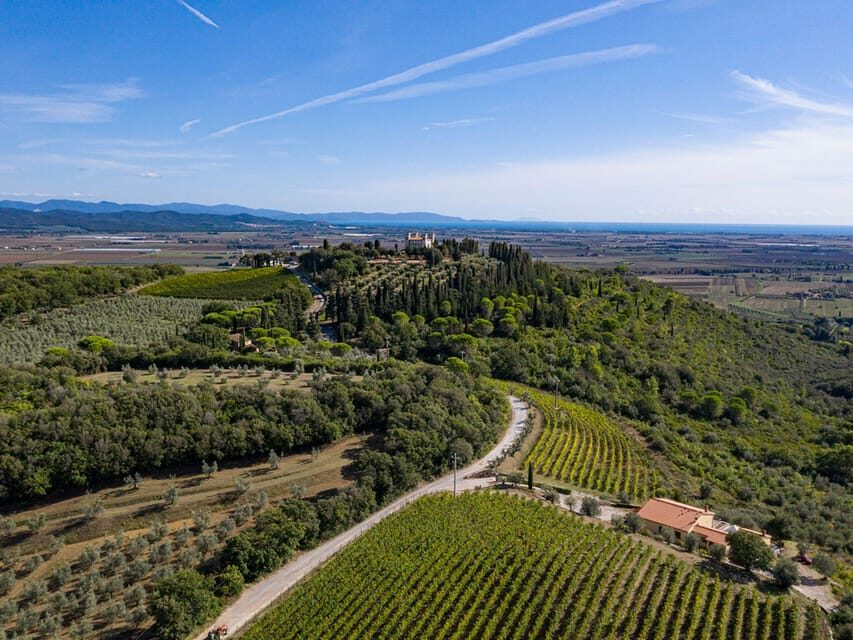 Wine Tasting with Local Food Pairing near Livorno - The Itinerary Breakdown