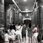 Wine tastings around Calvi & Île-Rousse - Practical Details and What to Keep in Mind