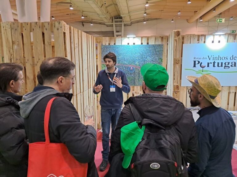 Wine Tour and Tasting with a local Winemaker at Pico Island - Who Is This Tour Best For?