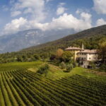 Wine tour at Borgo dei Posseri: wine, nature, and authenticity - An In-Depth Look at the Vineyard Experience