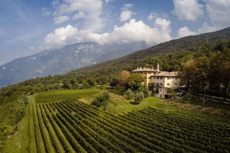 Wine tour at Borgo dei Posseri: wine, nature, and authenticity - An In-Depth Look at the Vineyard Experience