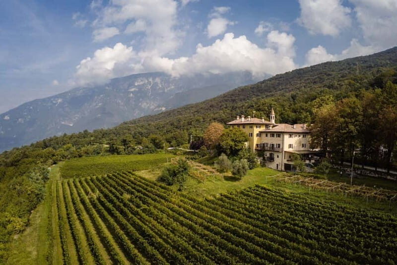 Wine tour at Borgo dei Posseri: wine, nature, and authenticity - An In-Depth Look at the Vineyard Experience