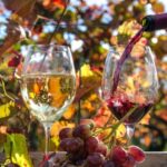 Wine Tour From lisbon with Tastings & Winemaker for a day - Final Thoughts