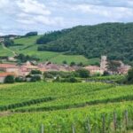 Wine tour in Pouilly Fuissé - Final Thoughts: Is It Worth It?